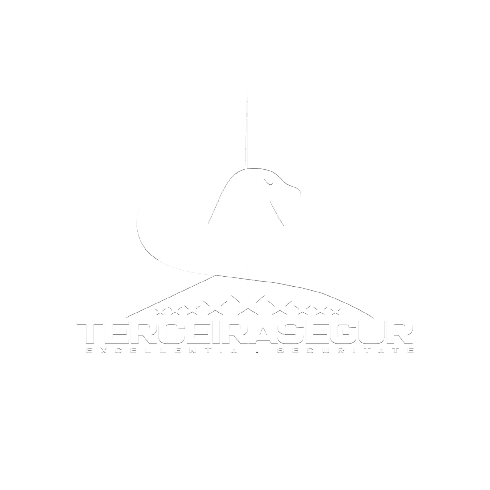 TerceiraSegur